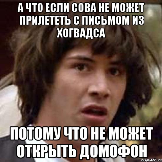 А что если сова не может прилететь с письмом из Хогвадса Потому что не может открыть домофон, Мем А что если (Киану Ривз)