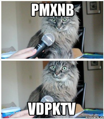 pMXnB VDPkTV, Комикс  кот с микрофоном