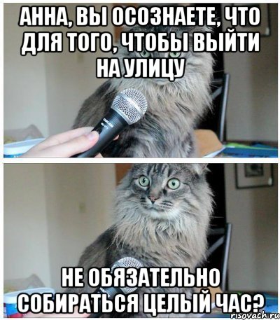 Анна, Вы осознаете, что для того, чтобы выйти на улицу Не обязательно собираться целый час?, Комикс  кот с микрофоном