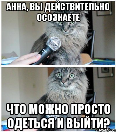 Анна, вы действительно осознаете Что можно просто одеться и выйти?, Комикс  кот с микрофоном