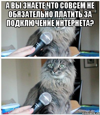 А вы знаете что совсем не обязательно платить за подключение интернета? , Комикс  кот с микрофоном