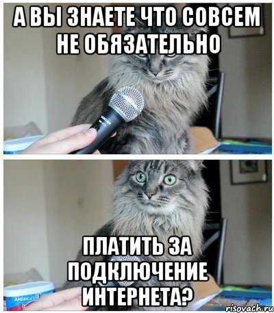 А вы знаете что совсем не обязательно Платить за подключение интернета?, Комикс  кот с микрофоном