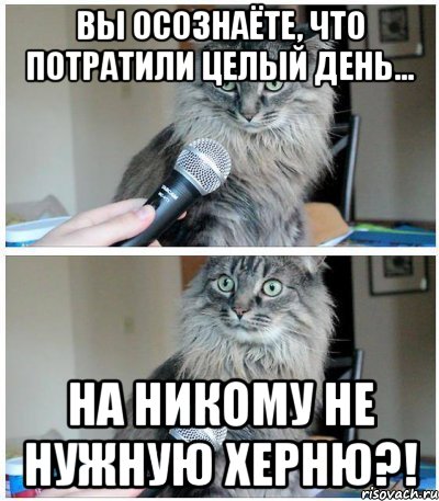 Вы осознаёте, что потратили целый день... на НИКОМУ не нужную ХЕРНЮ?!, Комикс  кот с микрофоном