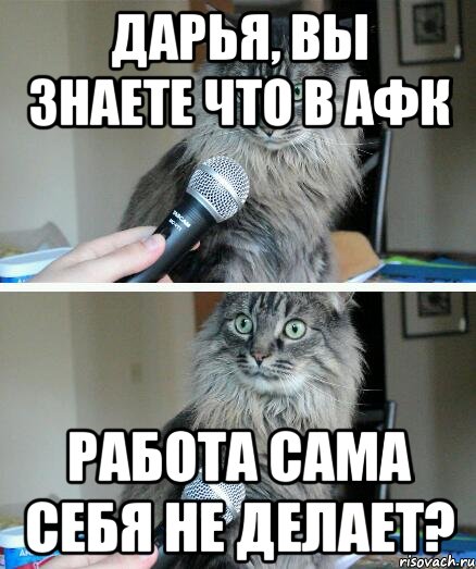 Дарья, вы знаете что в АФК Работа сама себя не делает?, Комикс  кот с микрофоном