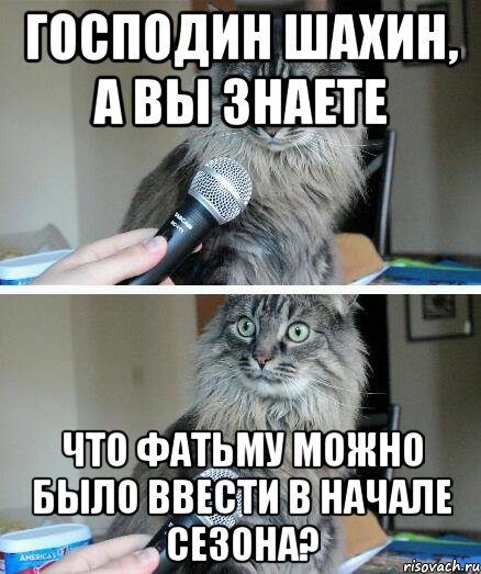 Господин Шахин, а вы знаете что Фатьму можно было ввести в начале сезона?, Комикс  кот с микрофоном