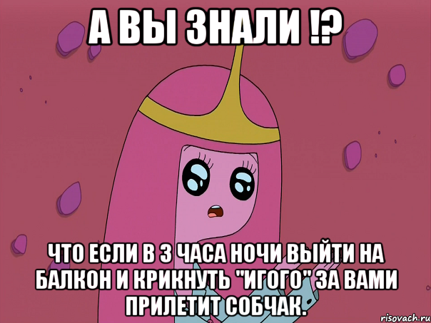 А вы знали !? Что если в 3 часа ночи выйти на балкон и крикнуть "игого" за вами прилетит Собчак.