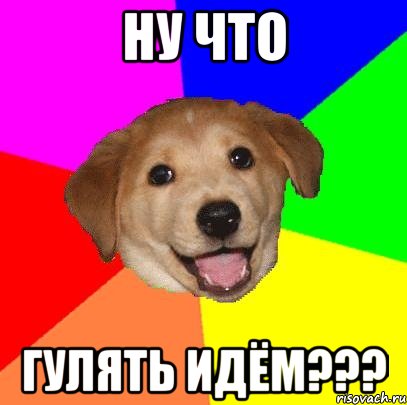 НУ что гулять идём???, Мем Advice Dog