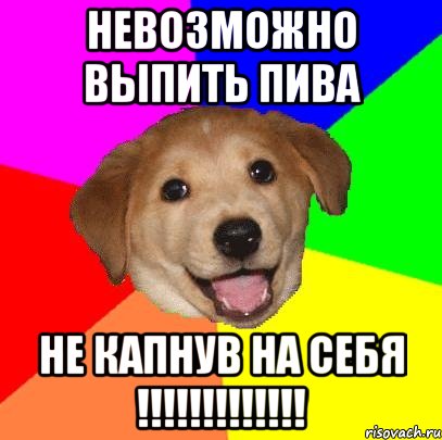 Невозможно выпить пива не капнув на себя !!!!!!!!!!!!!, Мем Advice Dog