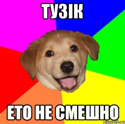 Тузік Ето не смешно, Мем Advice Dog