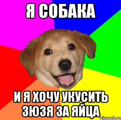 Я собака И я хочу укусить Зюзя за яйца, Мем Advice Dog