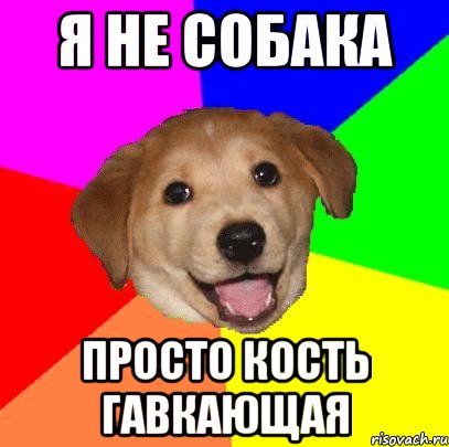 я не собака просто кость гавкающая, Мем Advice Dog