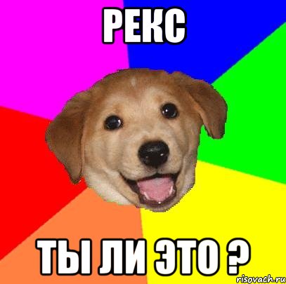 рекс ты ли это ?, Мем Advice Dog