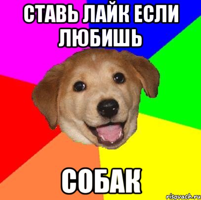 Ставь лайк если любишь Собак, Мем Advice Dog