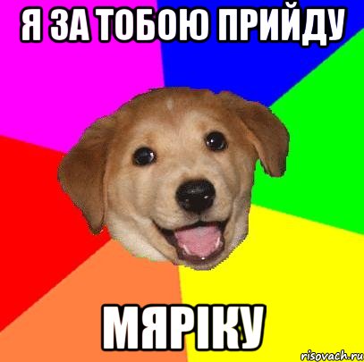 я за тобою прийду Мяріку, Мем Advice Dog