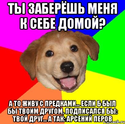 Ты заберёшь меня к себе домой? А то живу с предками... Если б был бы твоим другом, подписался бы: твой Друг... А так: Арсений Перов, Мем Advice Dog