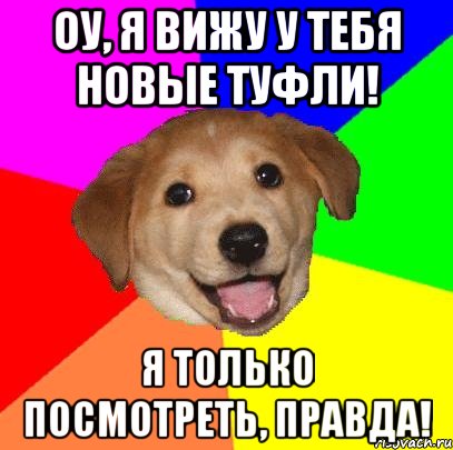 оу, я вижу у тебя новые туфли! я только посмотреть, правда!, Мем Advice Dog