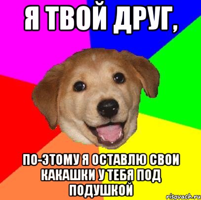 я твой друг, по-этому я оставлю свои какашки у тебя под подушкой, Мем Advice Dog