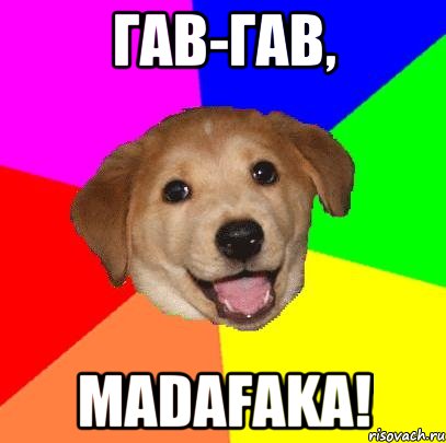 ГАВ-ГАВ, MADAFAKA!, Мем Advice Dog