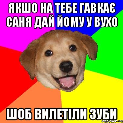 якшо на тебе гавкає саня дай йому у вухо шоб вилетіли зуби, Мем Advice Dog