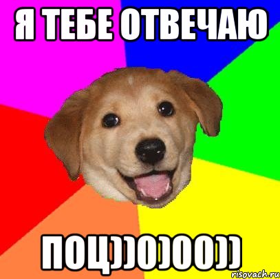 я тебе отвечаю поц))0)00)), Мем Advice Dog