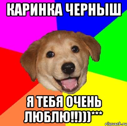 Каринка Черныш Я тебя очень люблю!!)))***, Мем Advice Dog