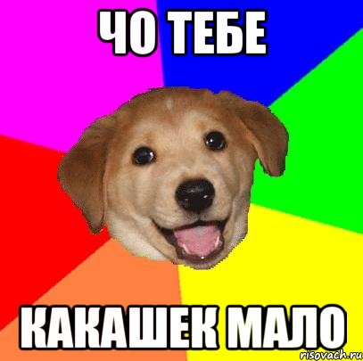 чо тебе какашек мало, Мем Advice Dog