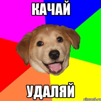 КАЧАЙ УДАЛЯЙ, Мем Advice Dog