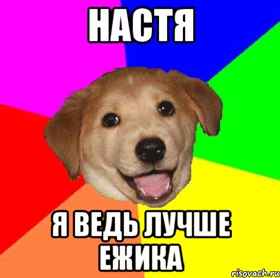 настя я ведь лучше ежика, Мем Advice Dog