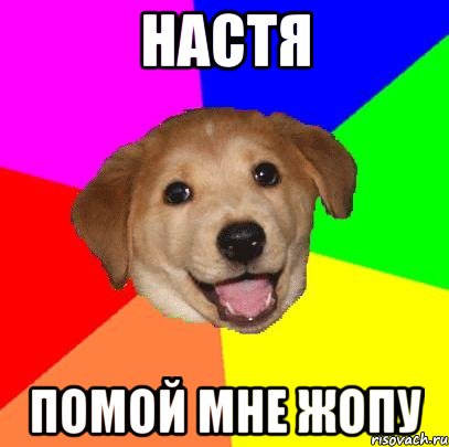 настя помой мне жопу, Мем Advice Dog