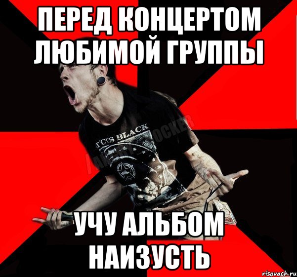 перед концертом любимой группы учу альбом наизусть, Мем Агрессивный рокер