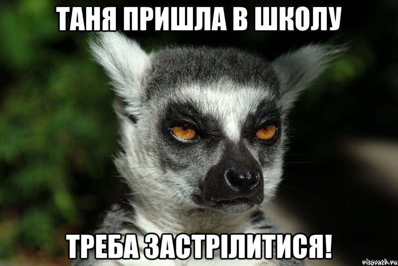 Таня пришла в школу Треба застрілитися!, Мем   Я збагоен