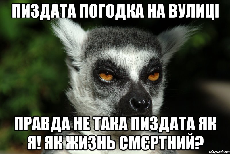 Пиздата погодка на вулиці Правда не така пиздата як я! Як жизнь смєртний?, Мем   Я збагоен