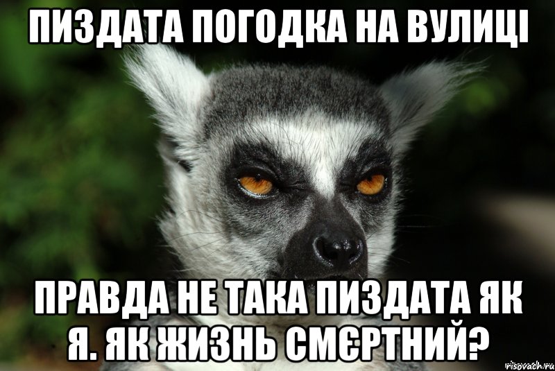 Пиздата погодка на вулиці Правда не така пиздата як я. Як жизнь смєртний?, Мем   Я збагоен