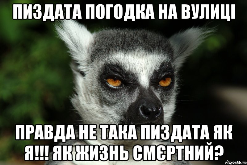 Пиздата погодка на вулиці Правда не така пиздата як я!!! Як жизнь смєртний?, Мем   Я збагоен