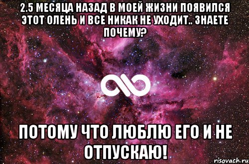 2.5 месяца назад в моей жизни появился этот олень и все никак не уходит.. Знаете почему? Потому что люблю его и не отпускаю!, Мем офигенно