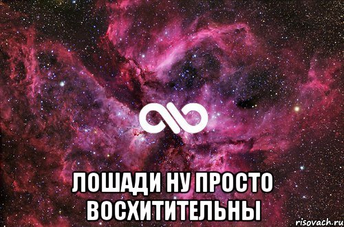  Лошади ну просто восхитительны, Мем офигенно