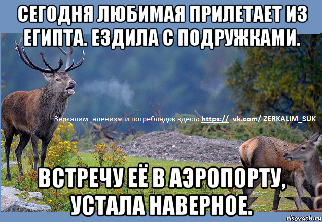 Сегодня любимая прилетает из Египта. Ездила с подружками. Встречу её в аэропорту, устала наверное.