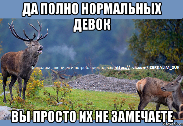 да полно нормальных девок вы просто их не замечаете