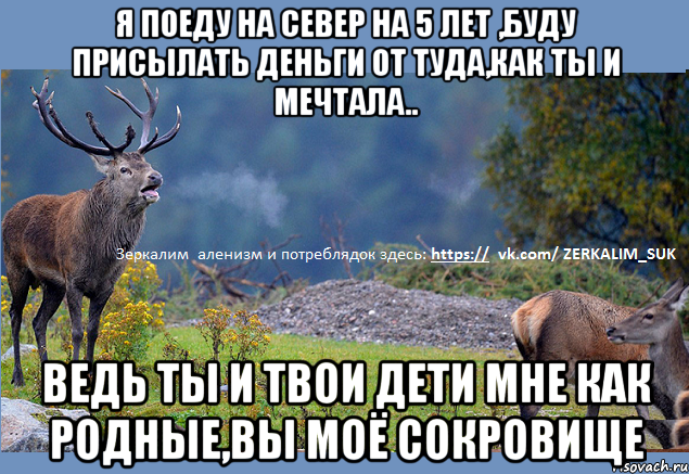 Я поеду на Север на 5 лет ,буду присылать деньги от туда,как ты и мечтала.. Ведь ты и твои дети мне как родные,вы моё сокровище