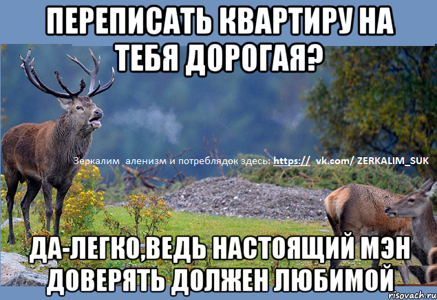 переписать квартиру на тебя дорогая? да-легко,ведь настоящий мэн доверять должен любимой