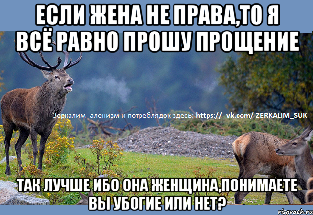 Если жена не права,то я всё равно прошу прощение так лучше ибо она Женщина,понимаете вы убогие или нет?