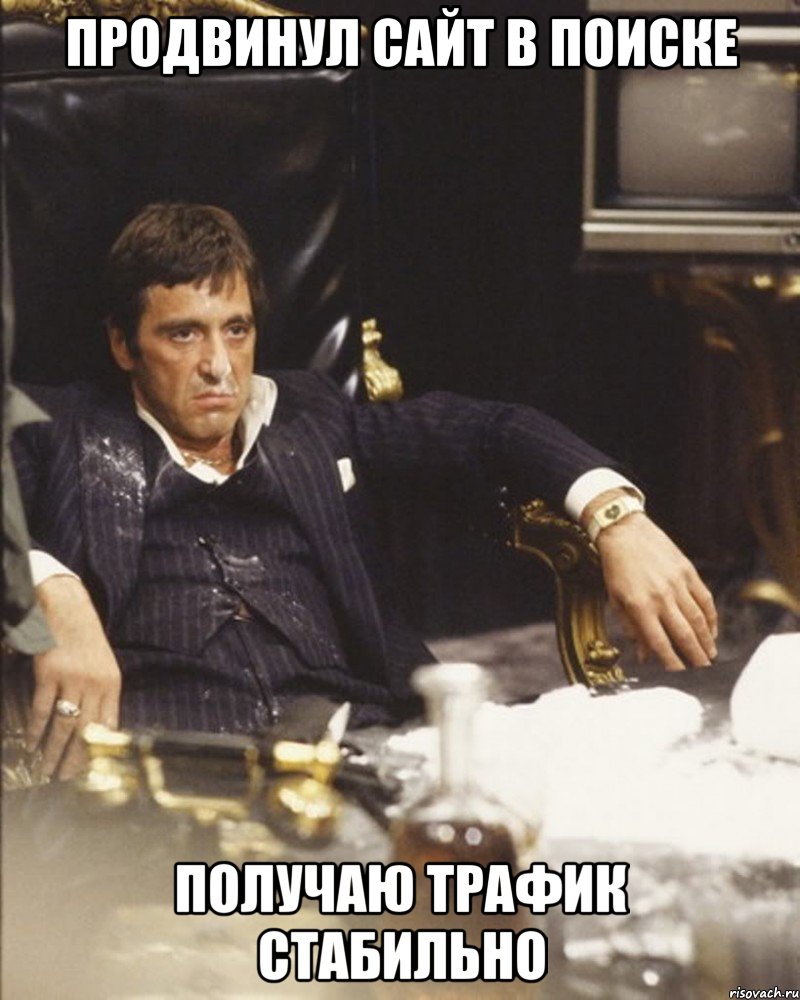 Продвинул сайт в поиске получаю трафик стабильно