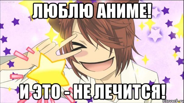 Люблю аниме! И это - не лечится!, Мем аниме