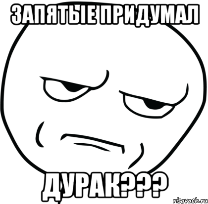 Запятые придумал дурак???, Мем Are you f cking kidding me