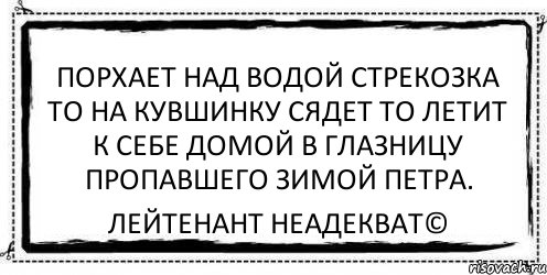 порхает над водой стрекозка то на кувшинку сядет то летит к себе домой в глазницу пропавшего зимой петра. Лейтенант Неадекват©, Комикс Асоциальная антиреклама