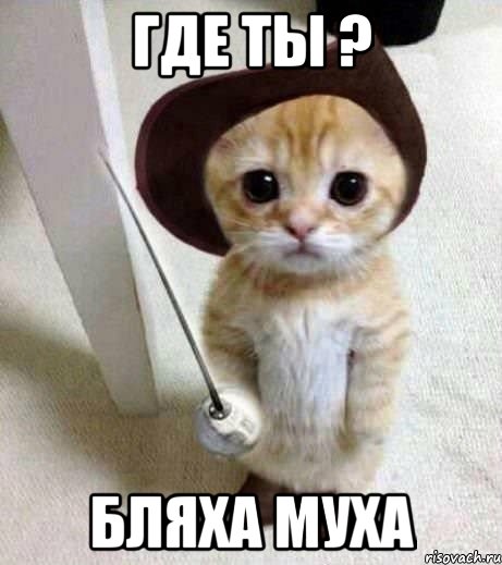 где ты ? бляха муха, Мем аыав
