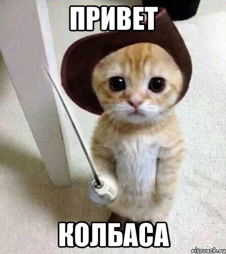привет колбаса, Мем аыав