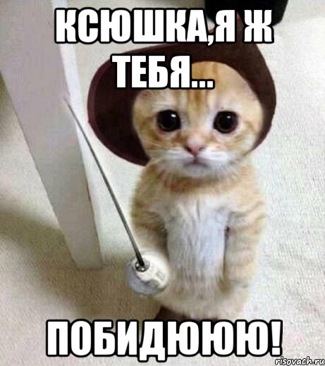Ксюшка,я ж тебя... Побидююю!, Мем аыав