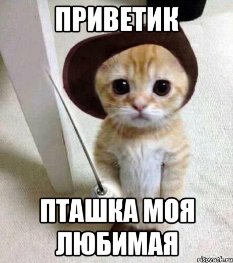 приветик пташка моя любимая, Мем аыав