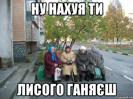 ну нахуя ти лисого ганяєш, Мем бабки у подъезда